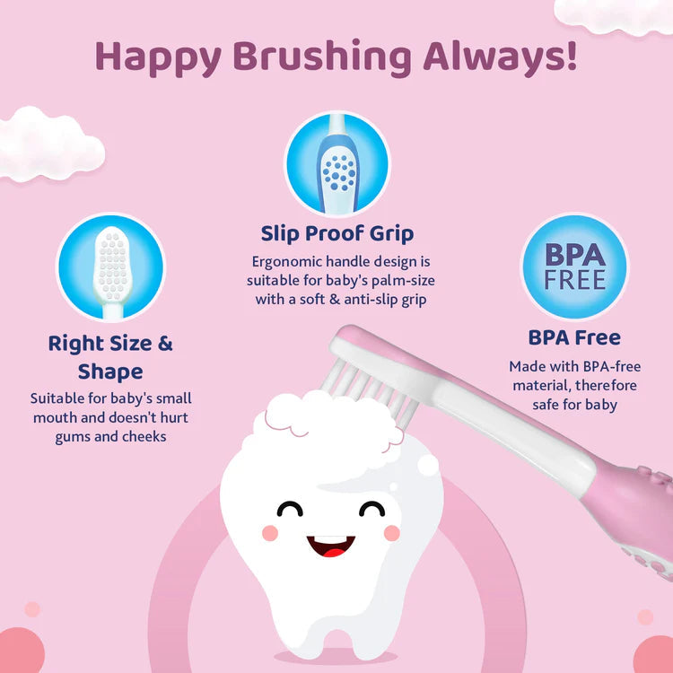 Baby toothbrush with features highlighted on a pink background. chicco Toothbrush Pink 6M to 36M go littles product image 6