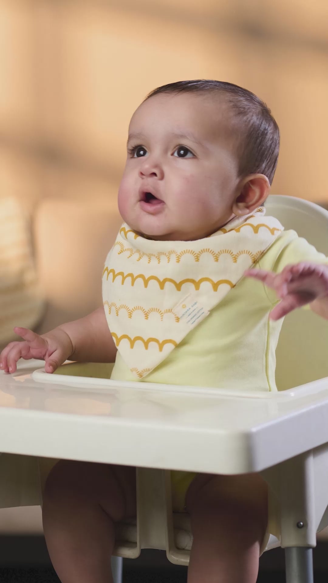 Nintara_Baby_Bandana_Bibs_Set_of_2_Golden_Flutter_Pack_go_littles_product_Video